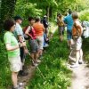 Wanderung Firstweg Schienerberg